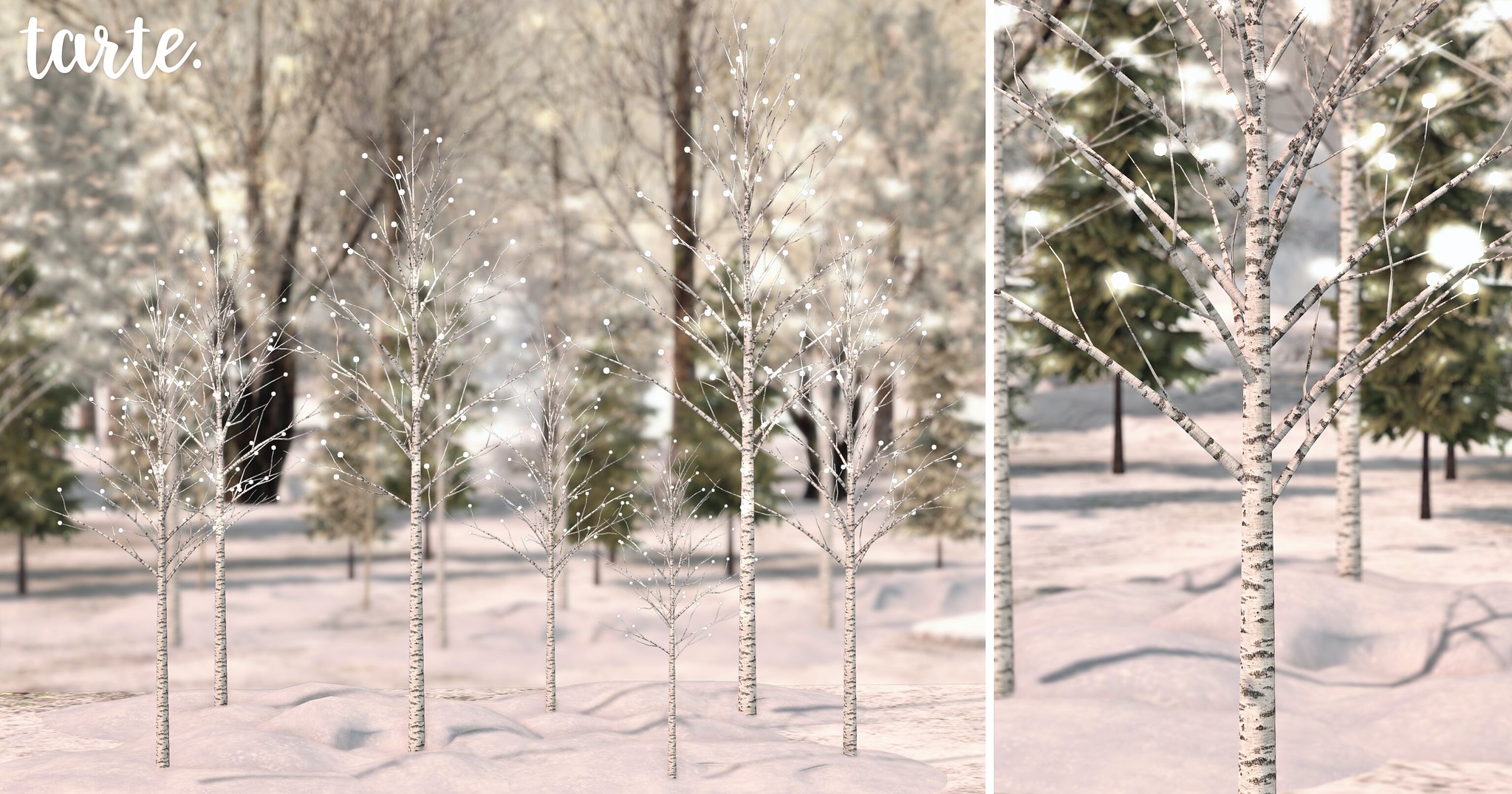 Tarte – Lighted birch trees