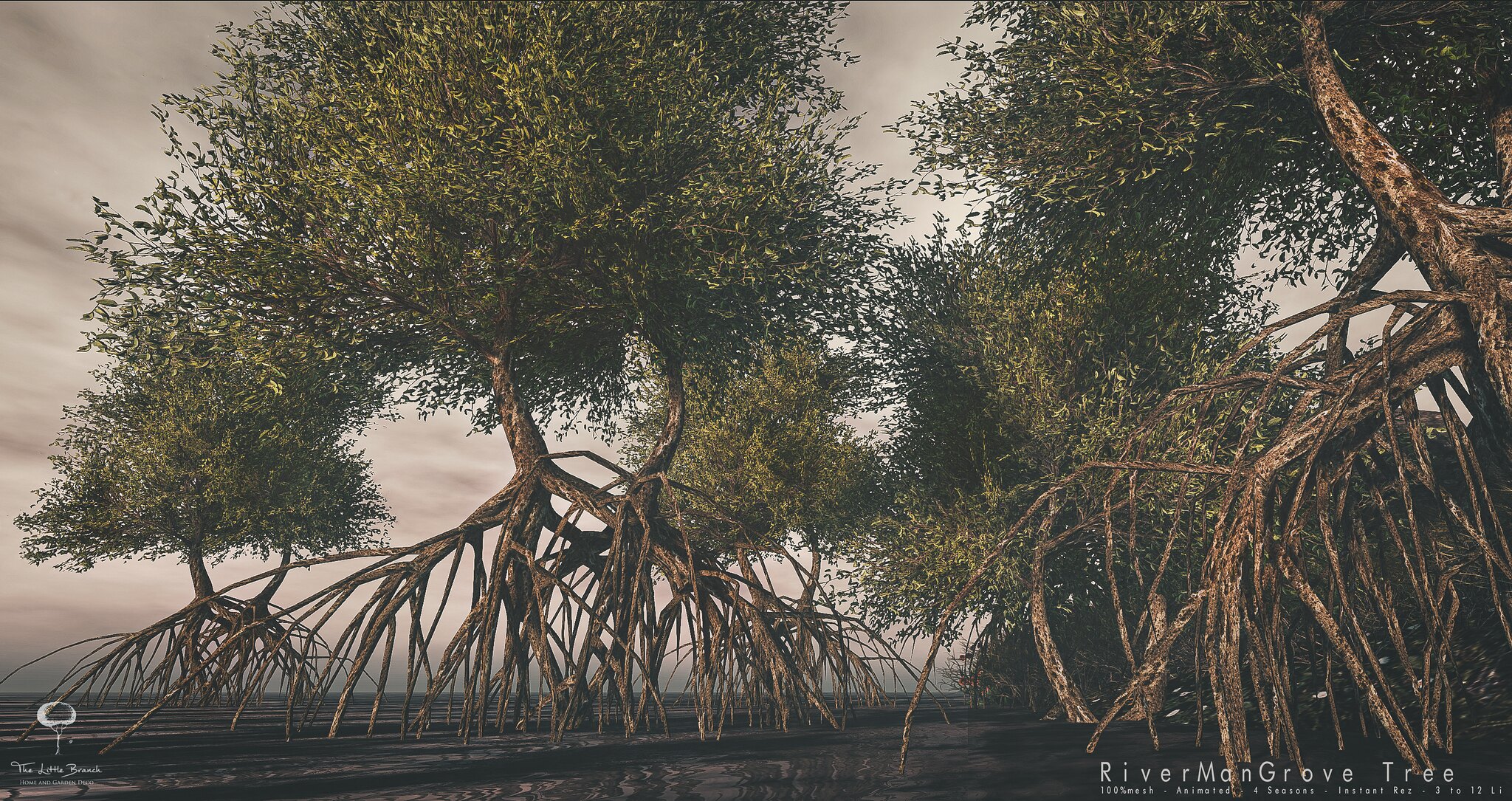 Little Branch – River ManGrove Tree
