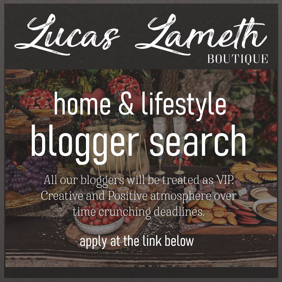 Lucas Lameth – Blogger Search