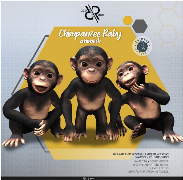Rezz Room – Chimpanzee Baby