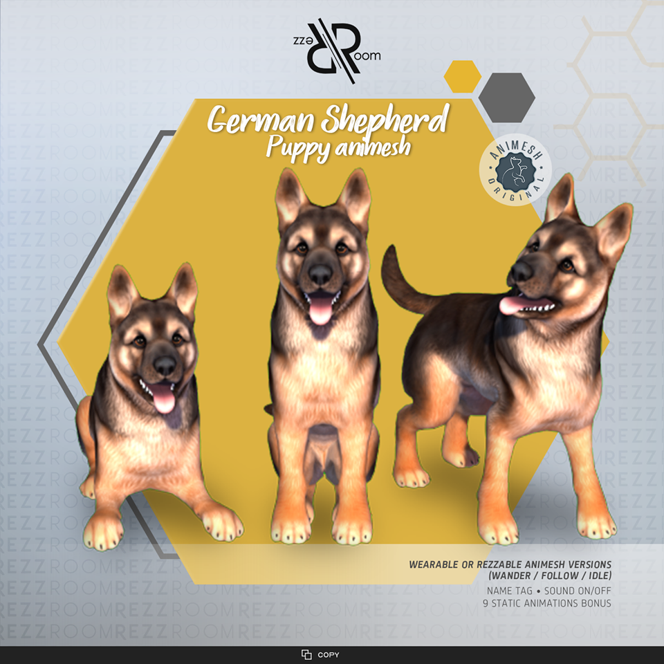 Rezz Room – German Shepherd Puppy