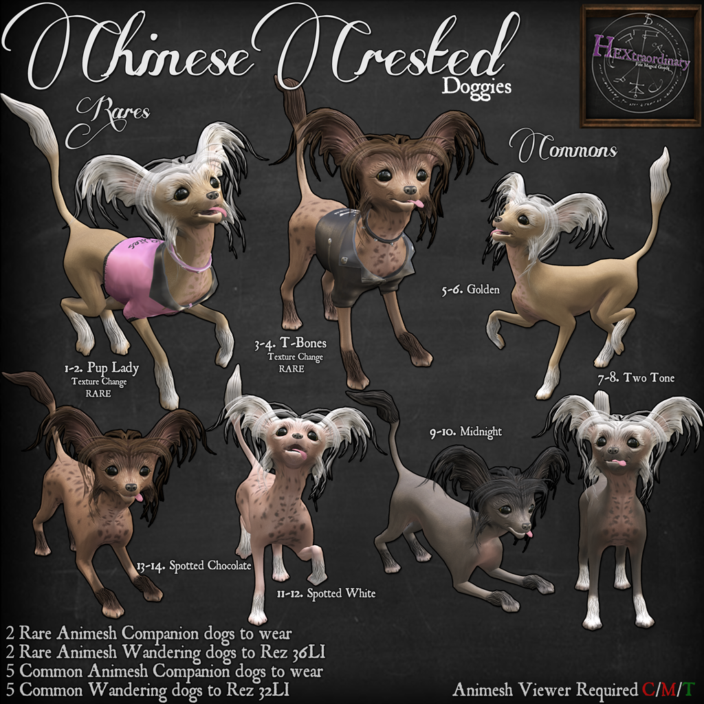 HEXtraordinary – Chinese Crested Doggies