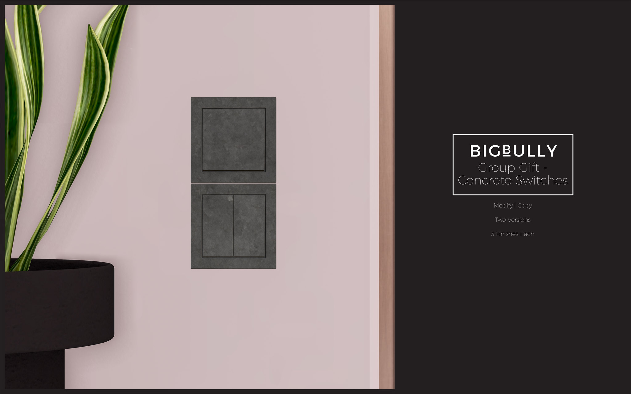 BIGBULLY – Concrete Switches