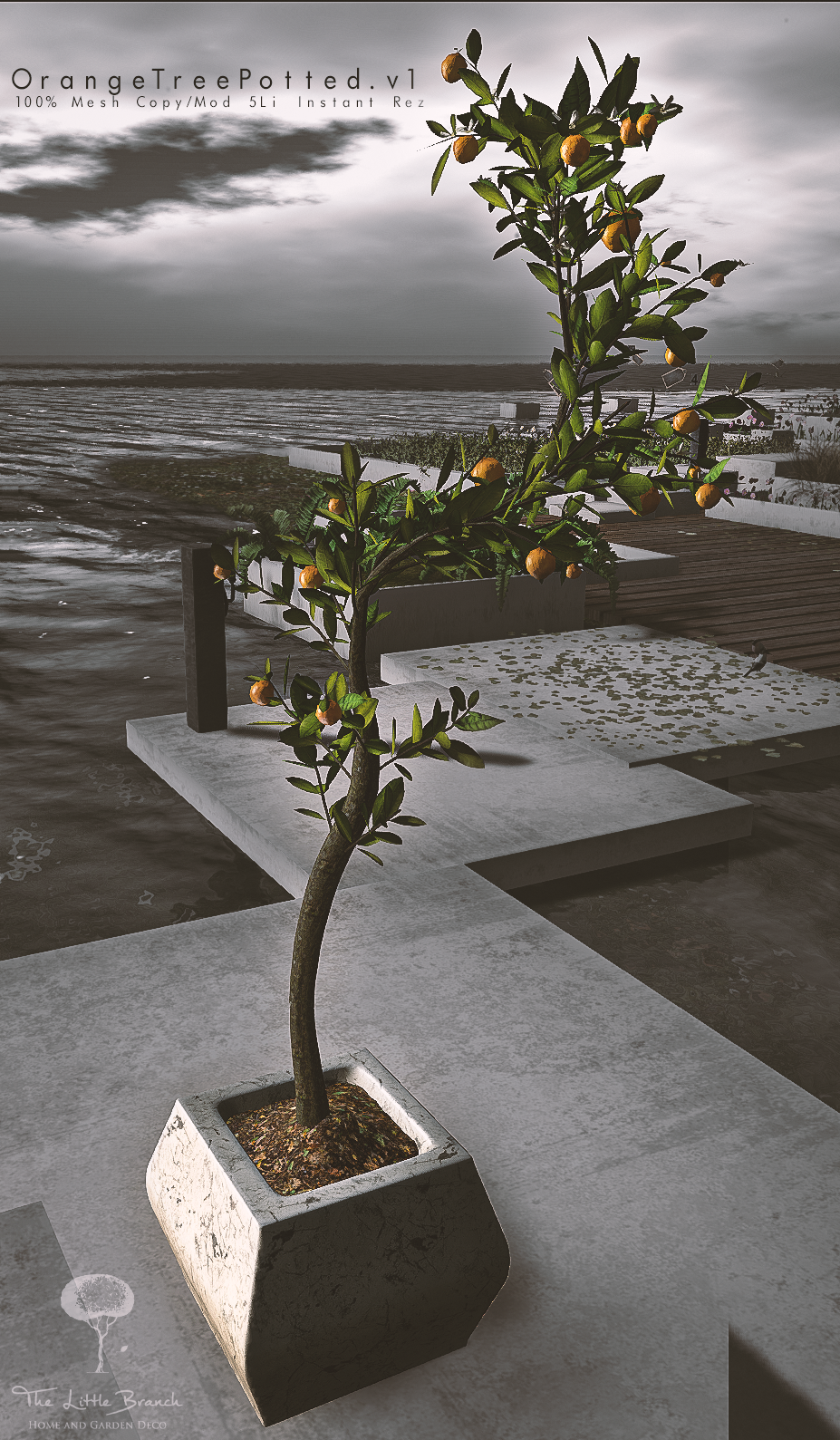 The Little Branch – Potted Orange Tree v.1