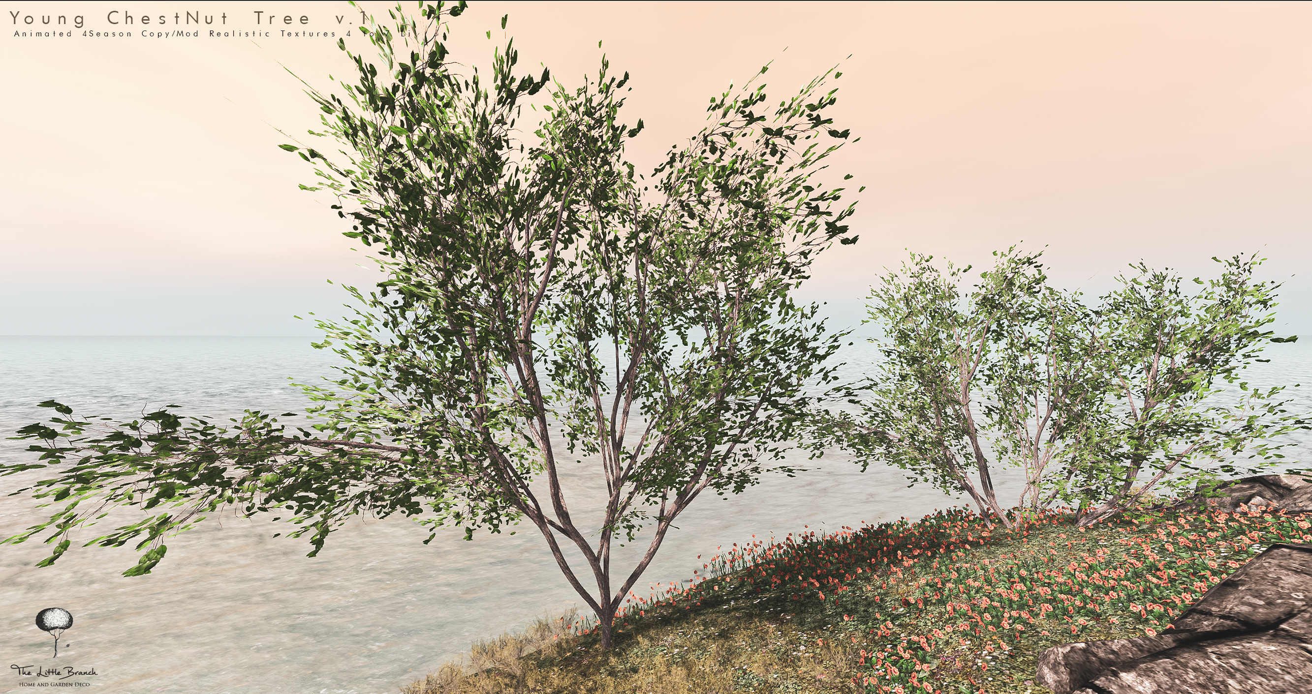 The Little Branch – Young Chestnut Tree V1 & V2