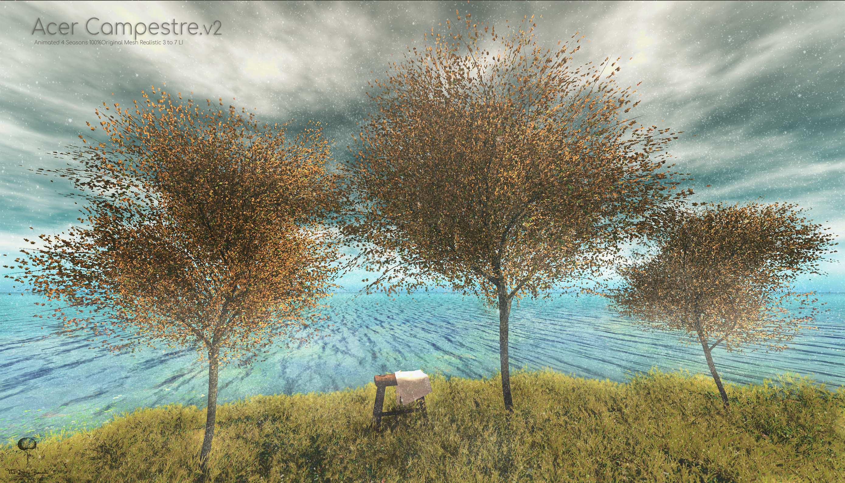 The Little Branch – The Acer Campestre Tree v2