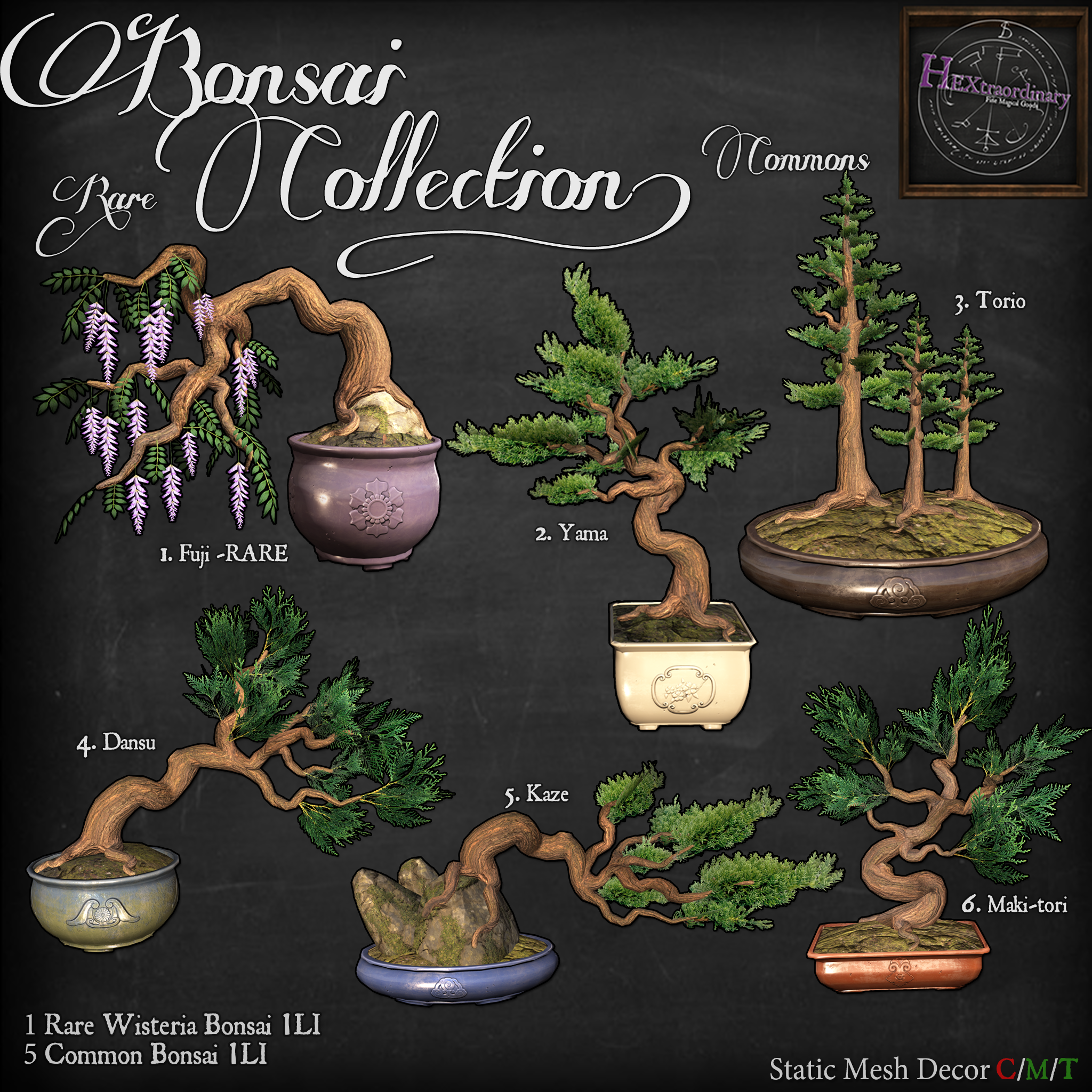 HEXtraordinary – Bonsai Collection