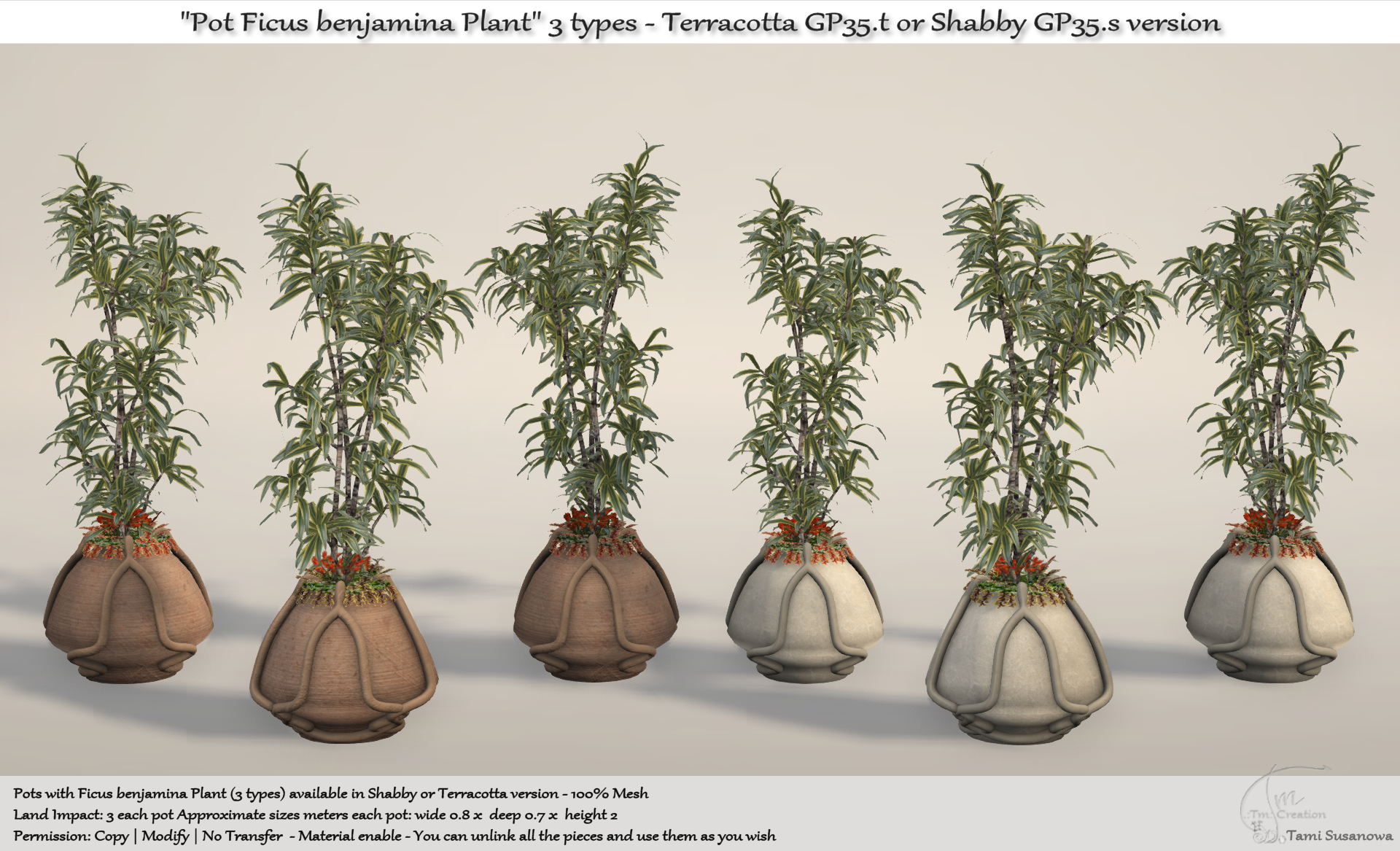 Tm Creation – “Pots Ficus Benjamina Plant”