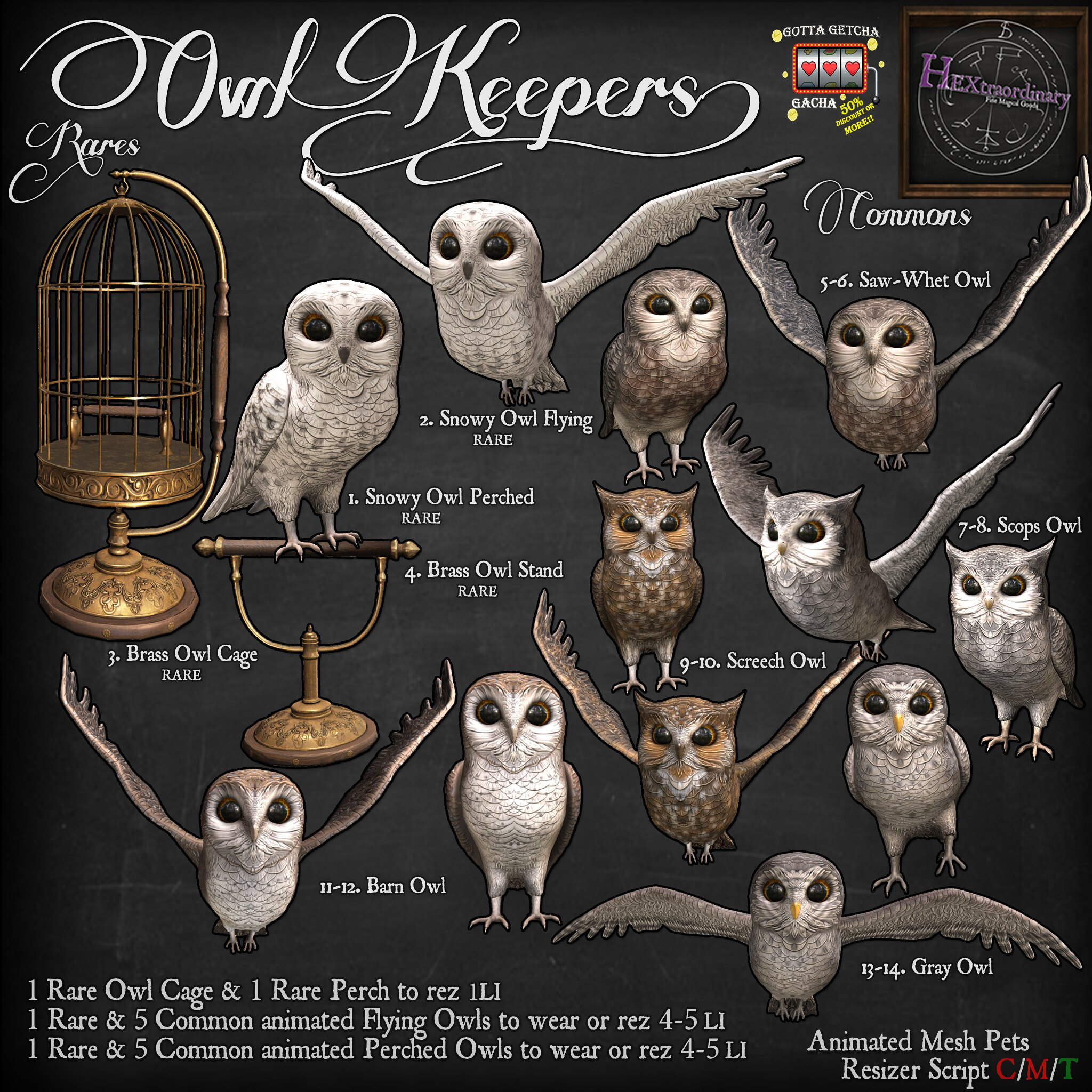 HEXtraordinary – Owl Keepers Gacha
