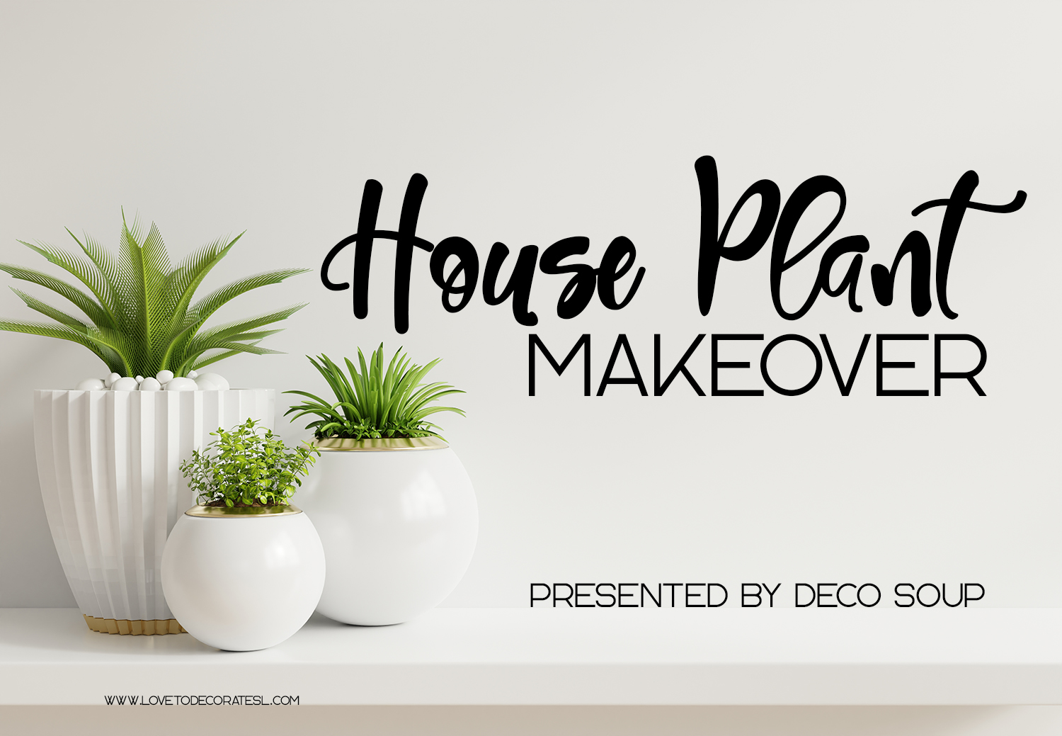 House Plant Makeover