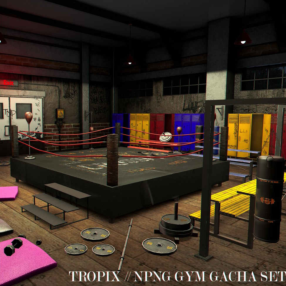 TROPIX – NPNG Gym Gacha Set
