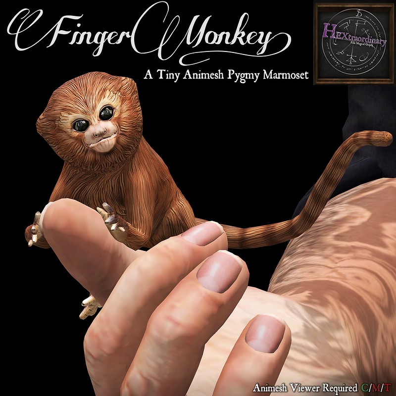 HEXtraordinary – Finger Monkey