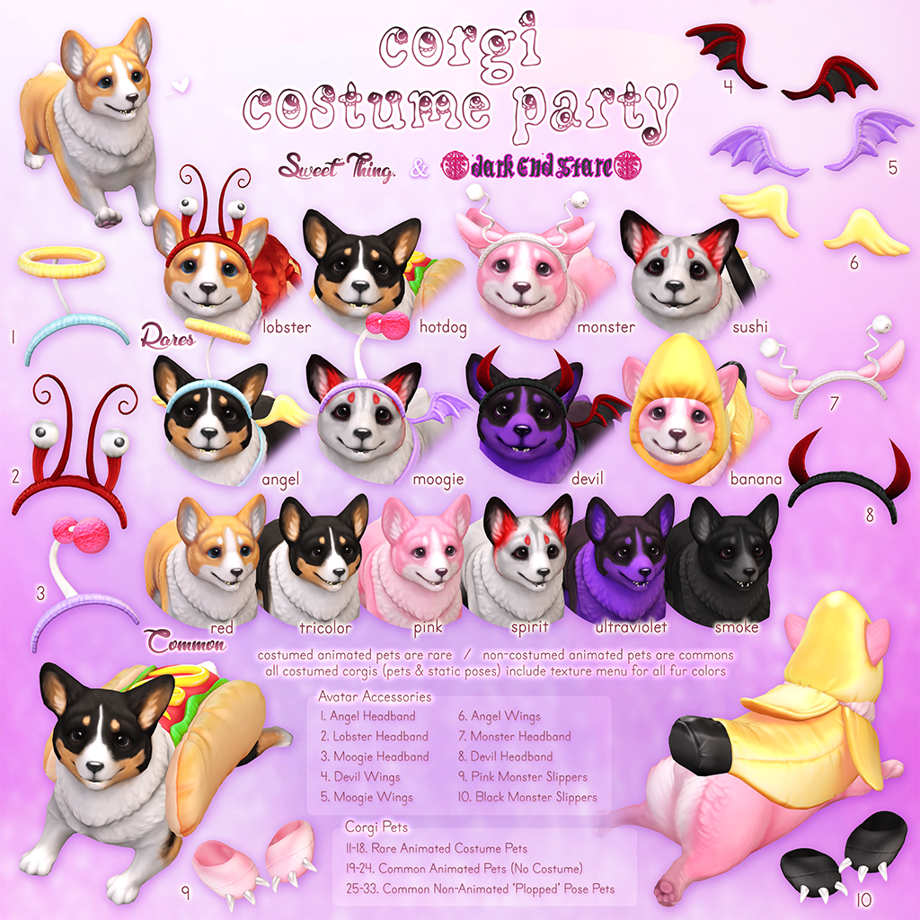 Sweet Thing – Corgi Costume Party