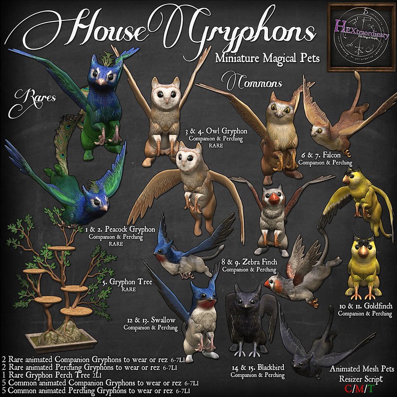 HEXtraordinary – House Gryphons