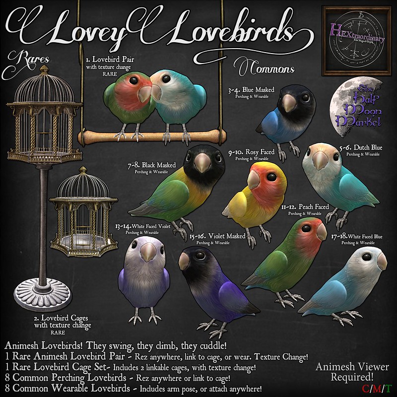 HEXtraordinary – Lovey Lovebirds