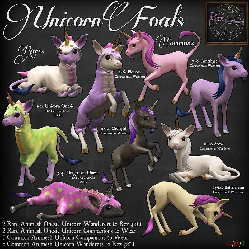 HEXtraordinary – Unicorn Foals