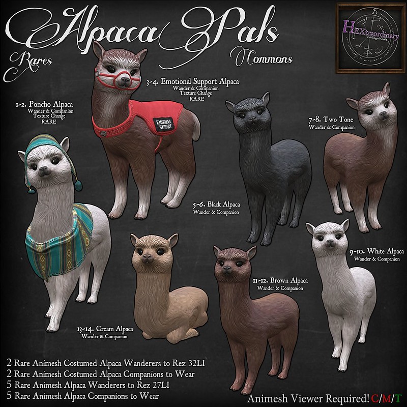 HEXtraordinary – Alpaca Pals