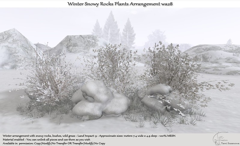 TM Creation – Winter Snowy Rocks Plants Arrangement