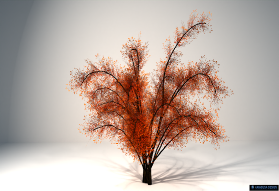 Hayabusa Design – Legacy Botanic Trees