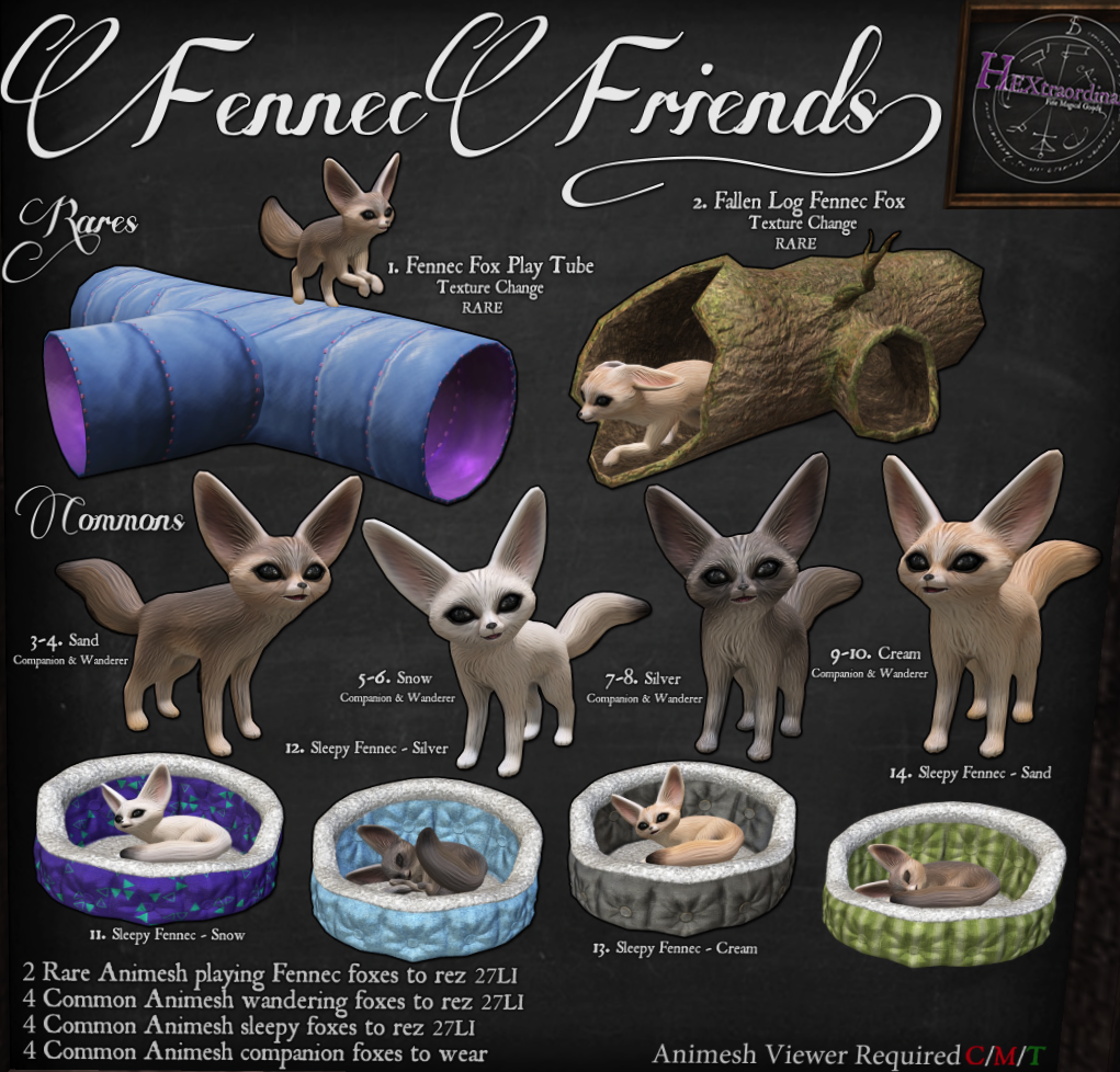 HEXtraordinary – Fennec Friends