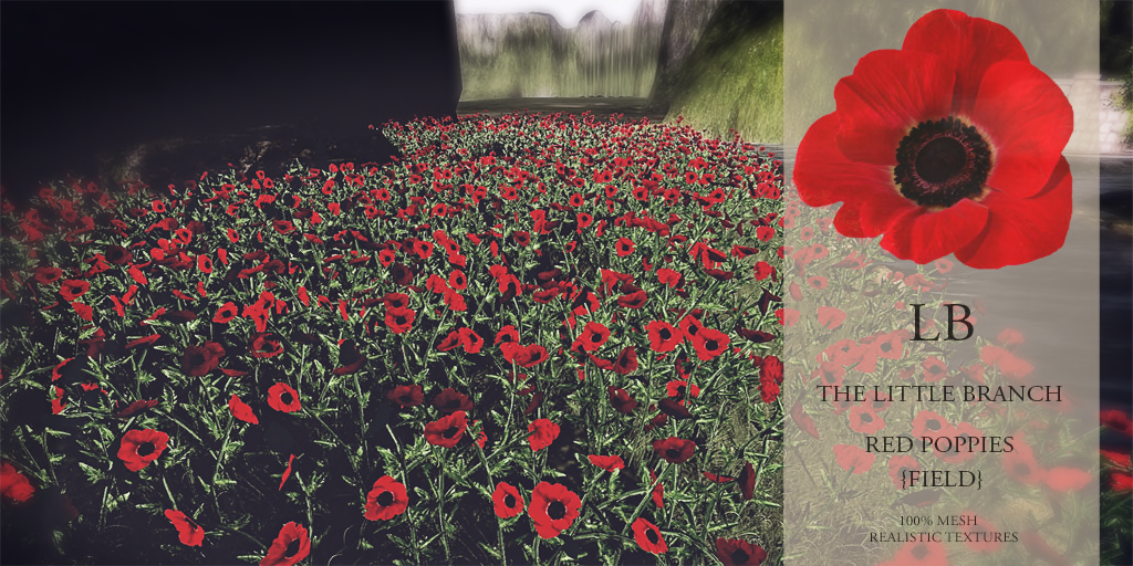 The Little Branch – Red Poppies {Field}
