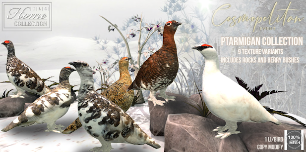 TLC – The Ptarmigan Collection