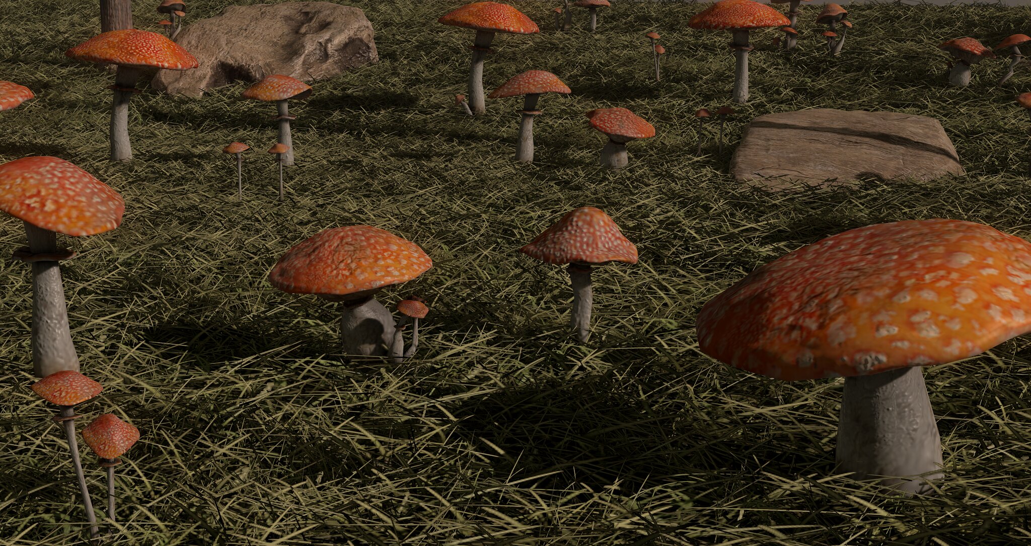 Fundati – Mushroom Pack