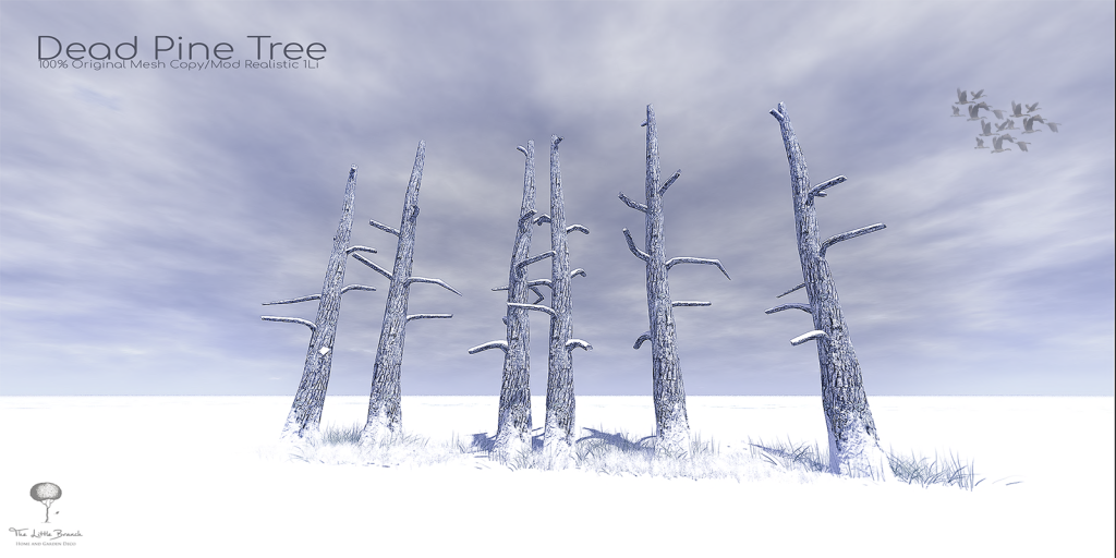 The Little Branch – Dead Pine Trees