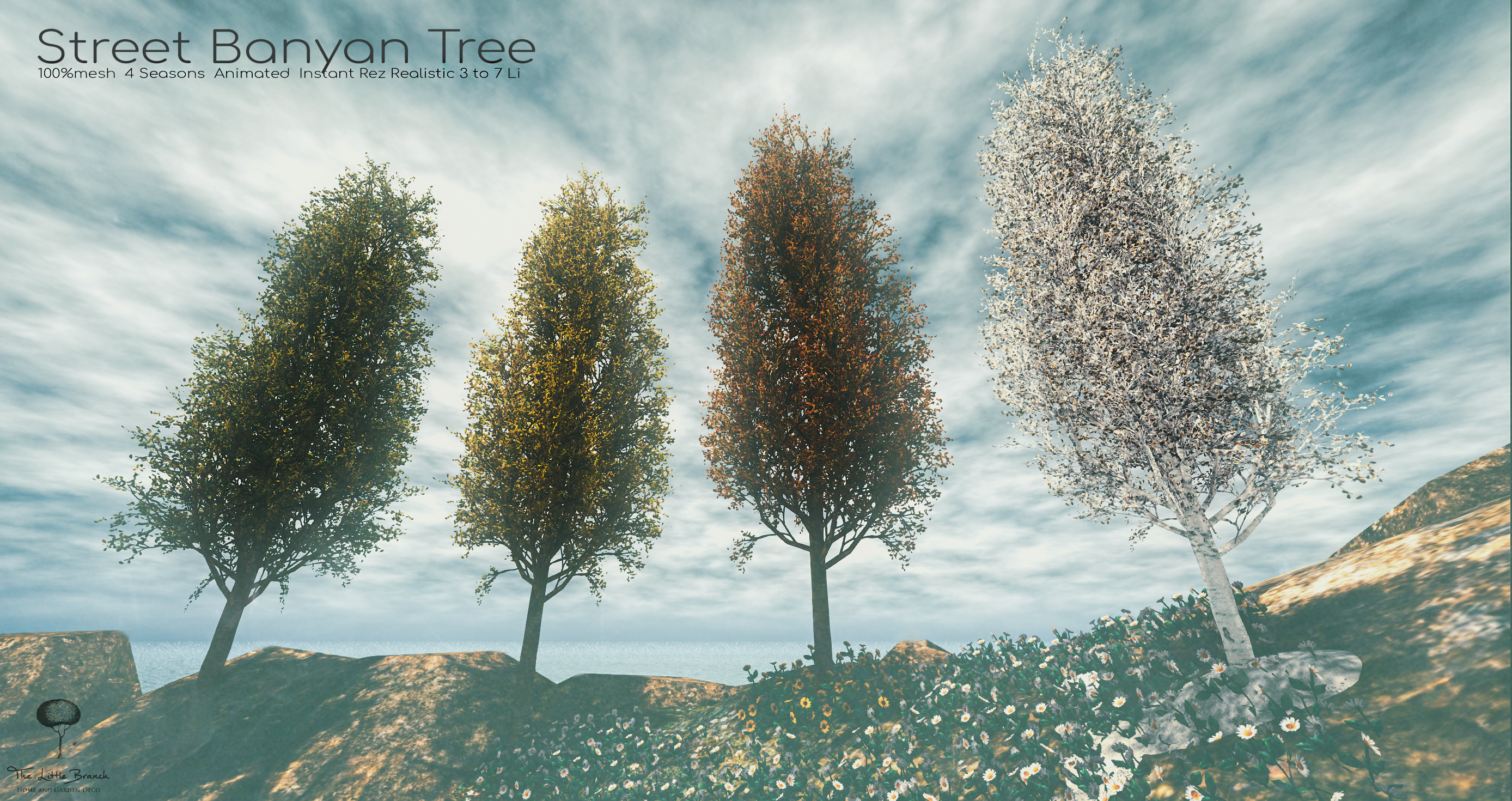 The Little Branch – The Street Banyan Tree