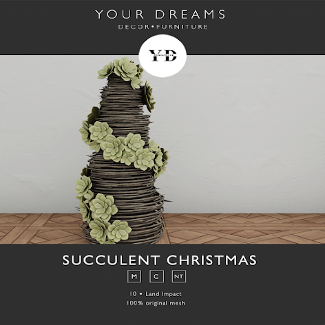 Your Dreams – Succulent Christmas