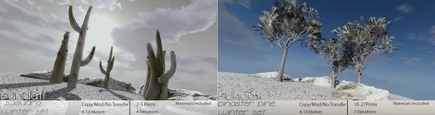 Fundati – Saeuaro and Pinaster Pine Winter Sets