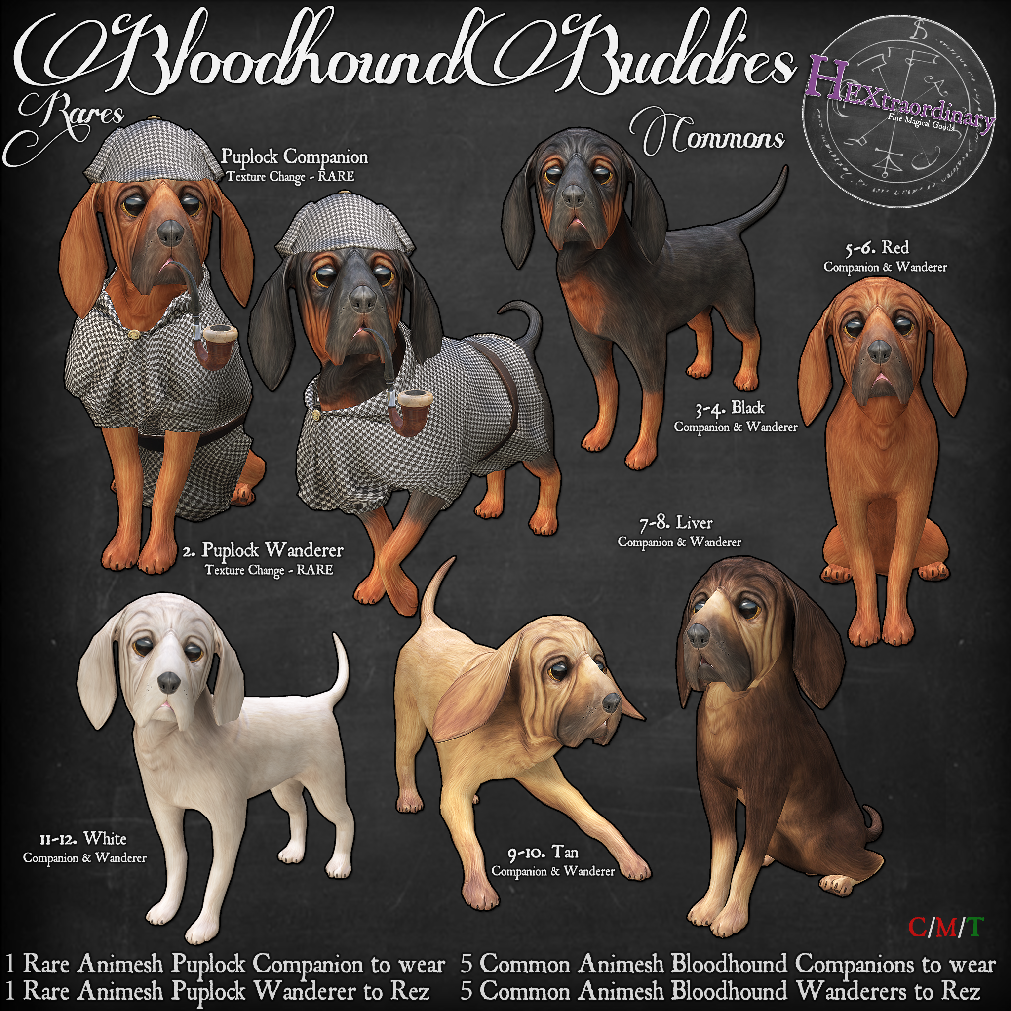 HEXtraordinary – Bloodhound Buddies