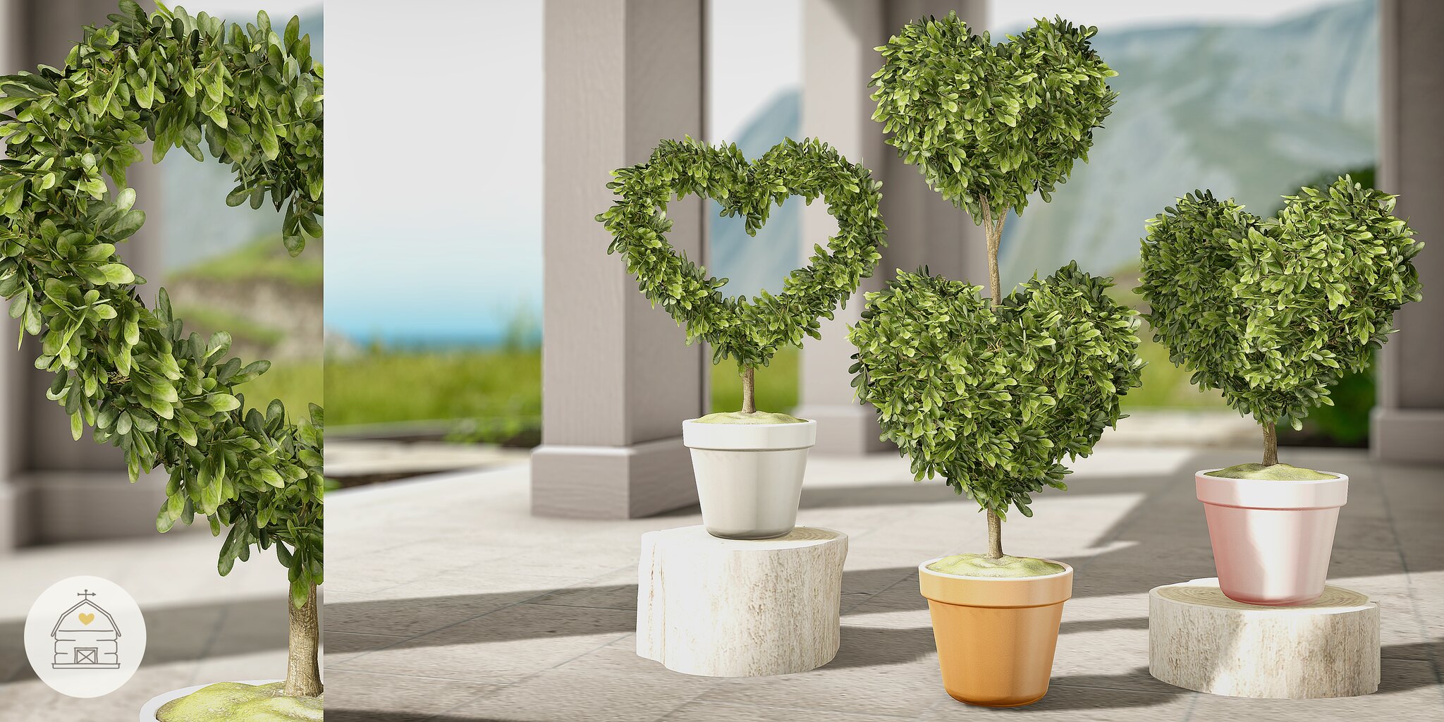 Hive – Heart Boxwood Topiary Pack