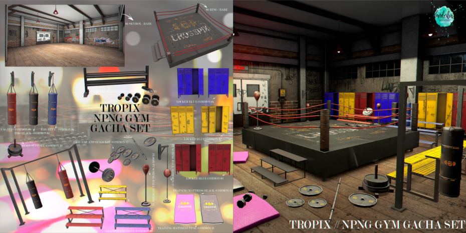 Tropix – NPNG Gym Gacha Set