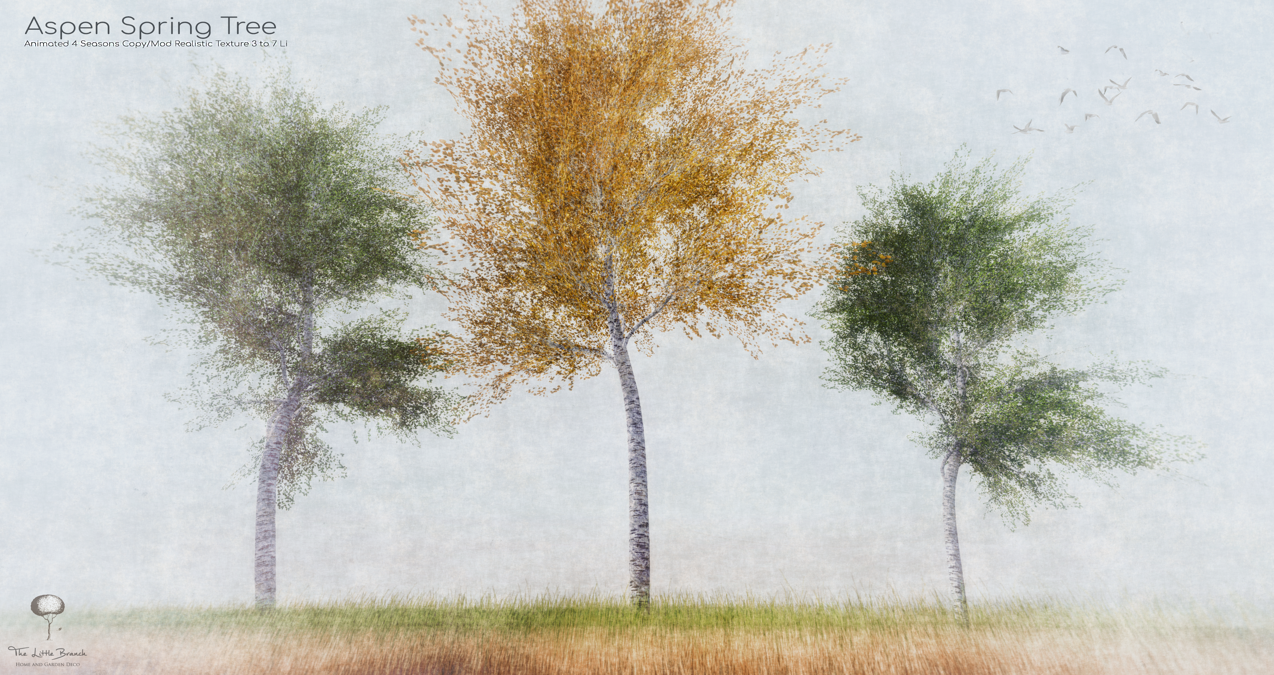 The Little Branch – Aspen Spring Tree