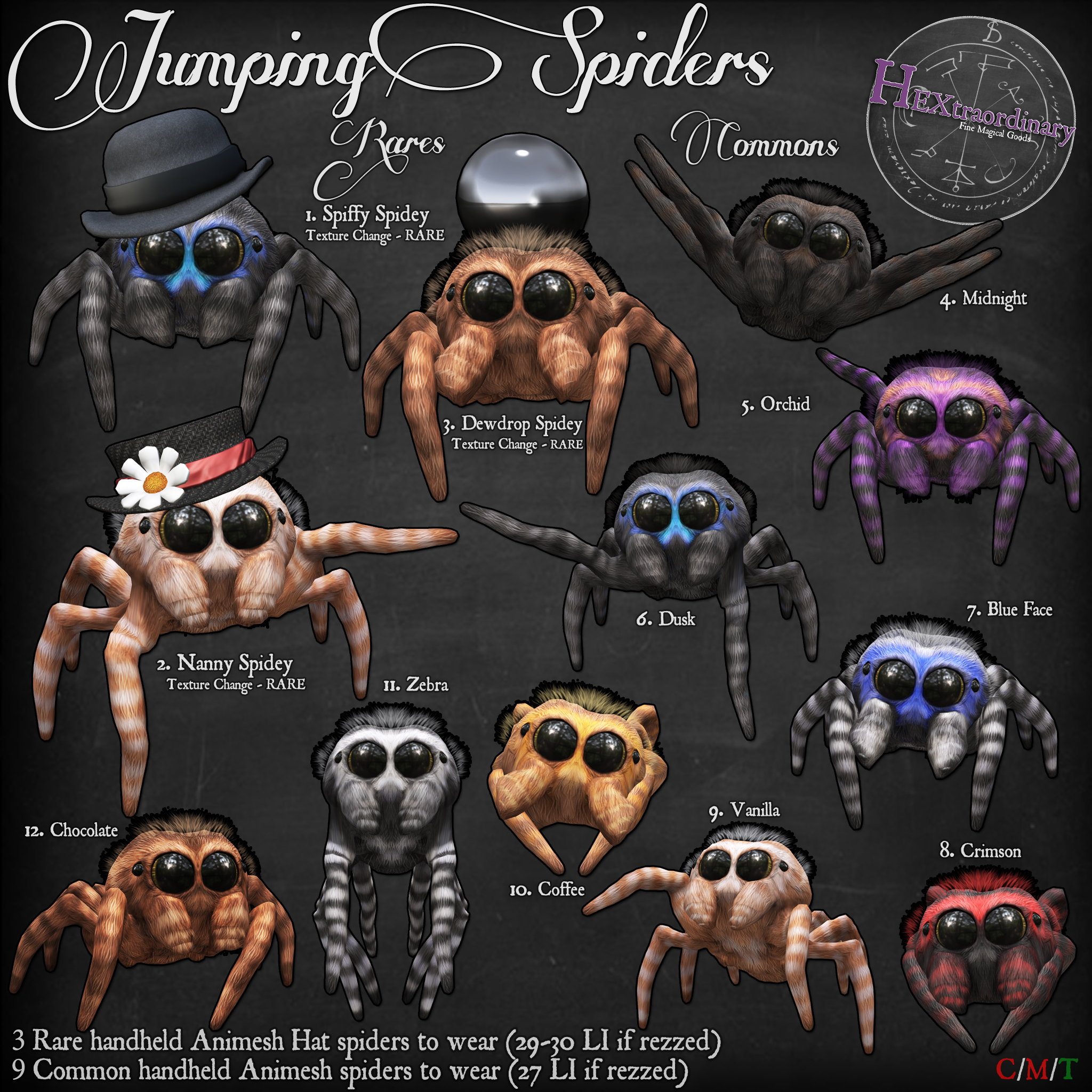 HEXtraordinary – Jumping Spiders