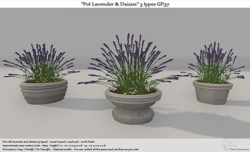TM Creation – Pot Lavender & Daisies
