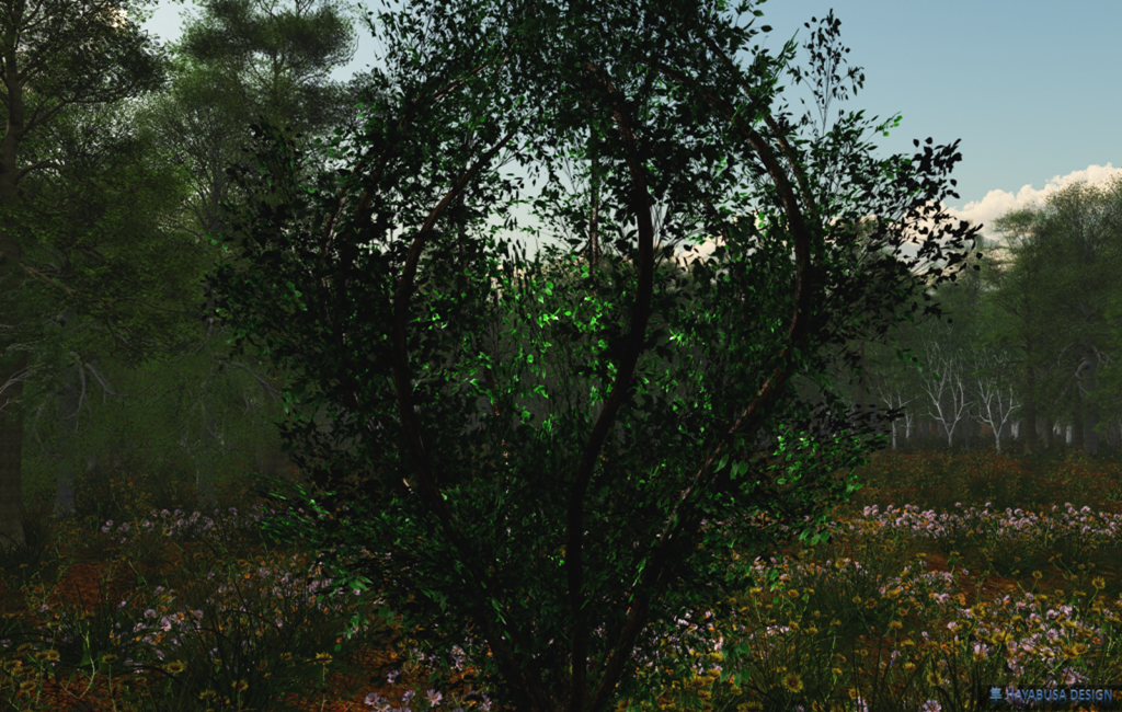 Hayabusa – Celtis Bush with Sphere