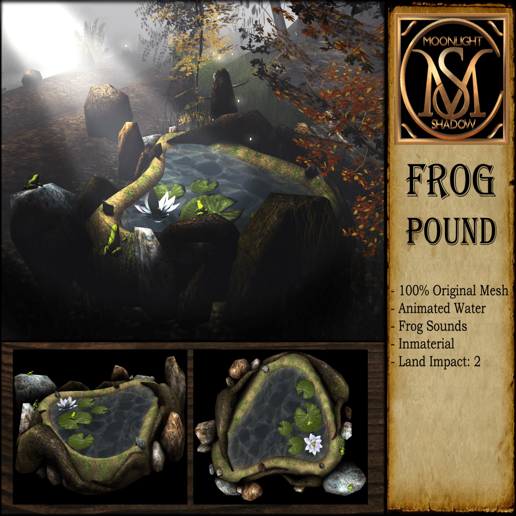 Moonlight Shadow – Frog Pound