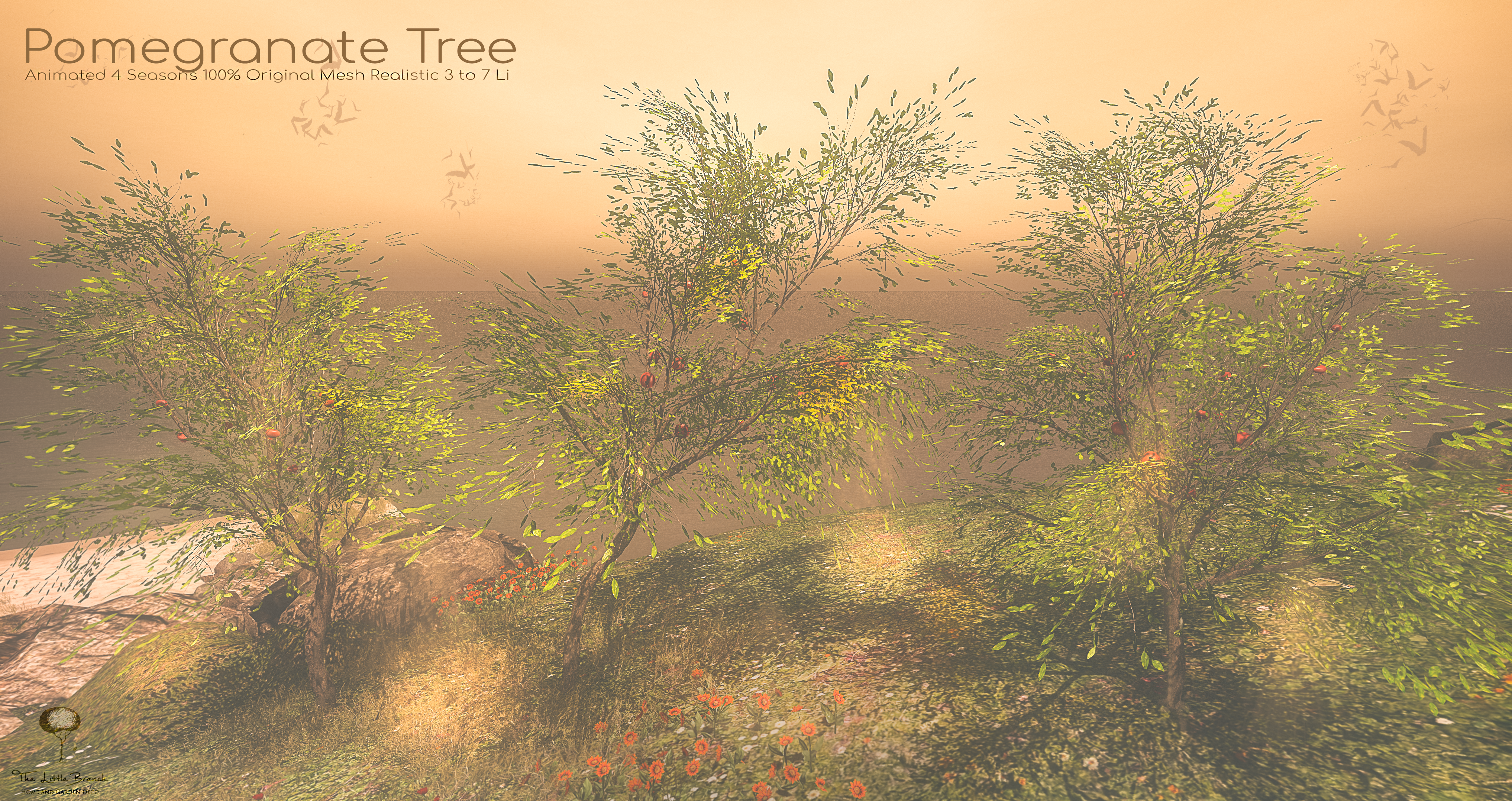 The Little Branch – Pomegranate Tree