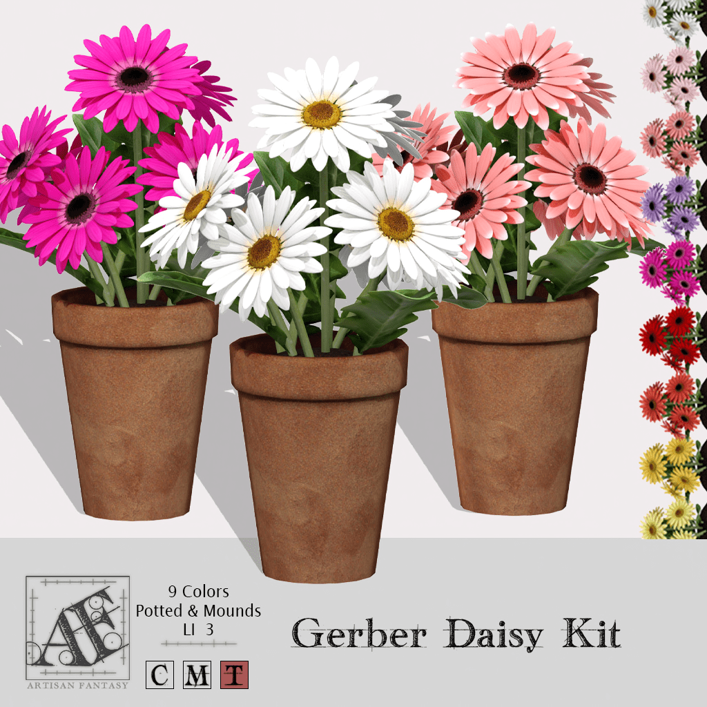 Artisan Fantasy – Gerber Daisy Kit