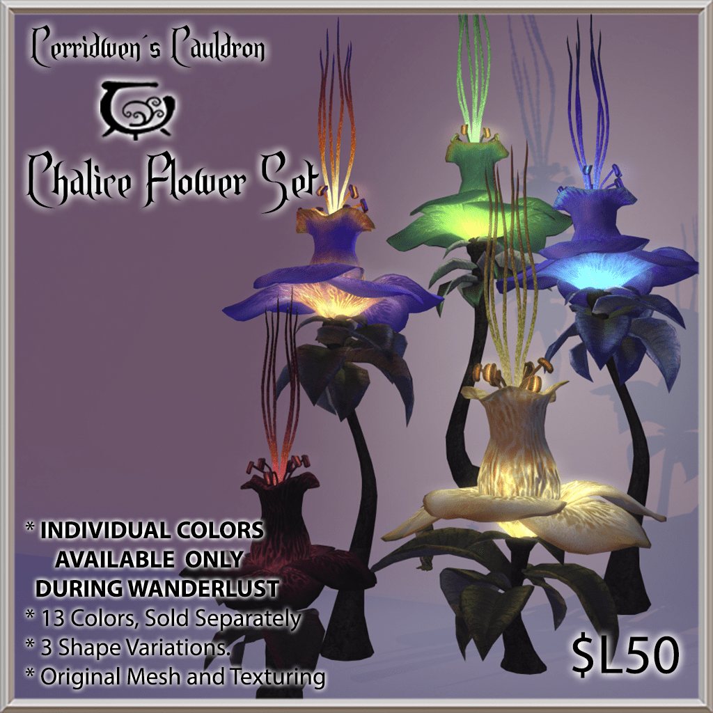 Cerridwen’s Cauldron – Chalice Flowers