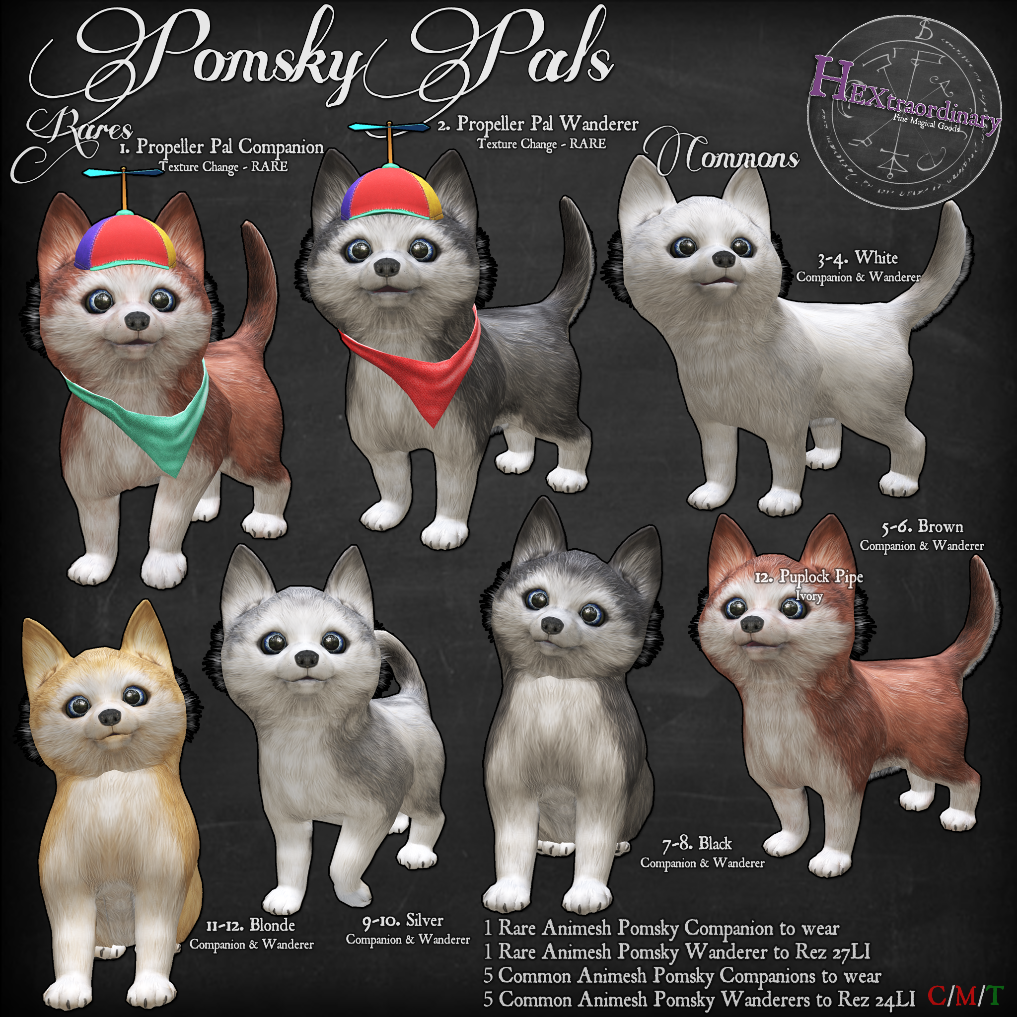 HEXtraordinary – Pomsky Pals