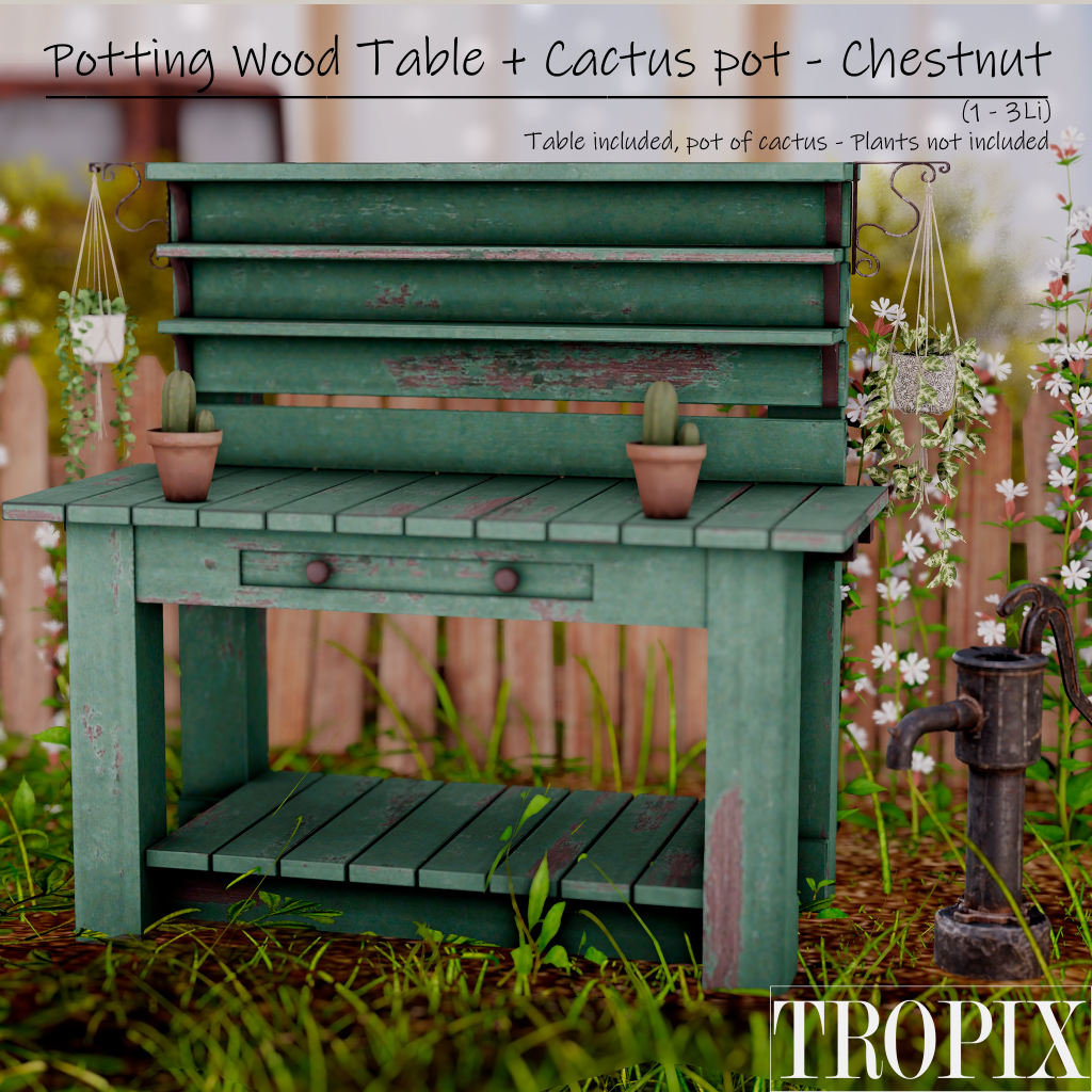 Tropix – Potting Wood Table and Cactus Pot