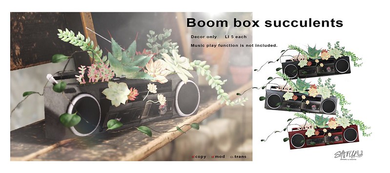 Shifuku – Boom Box Succulents