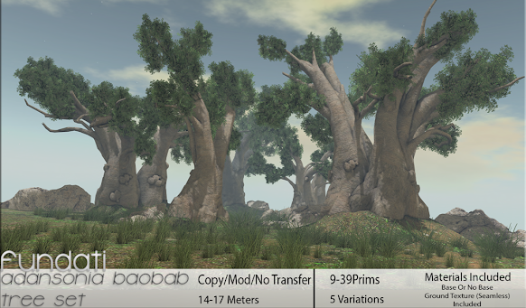 Fundati – Adansonia Baobab Tree Set