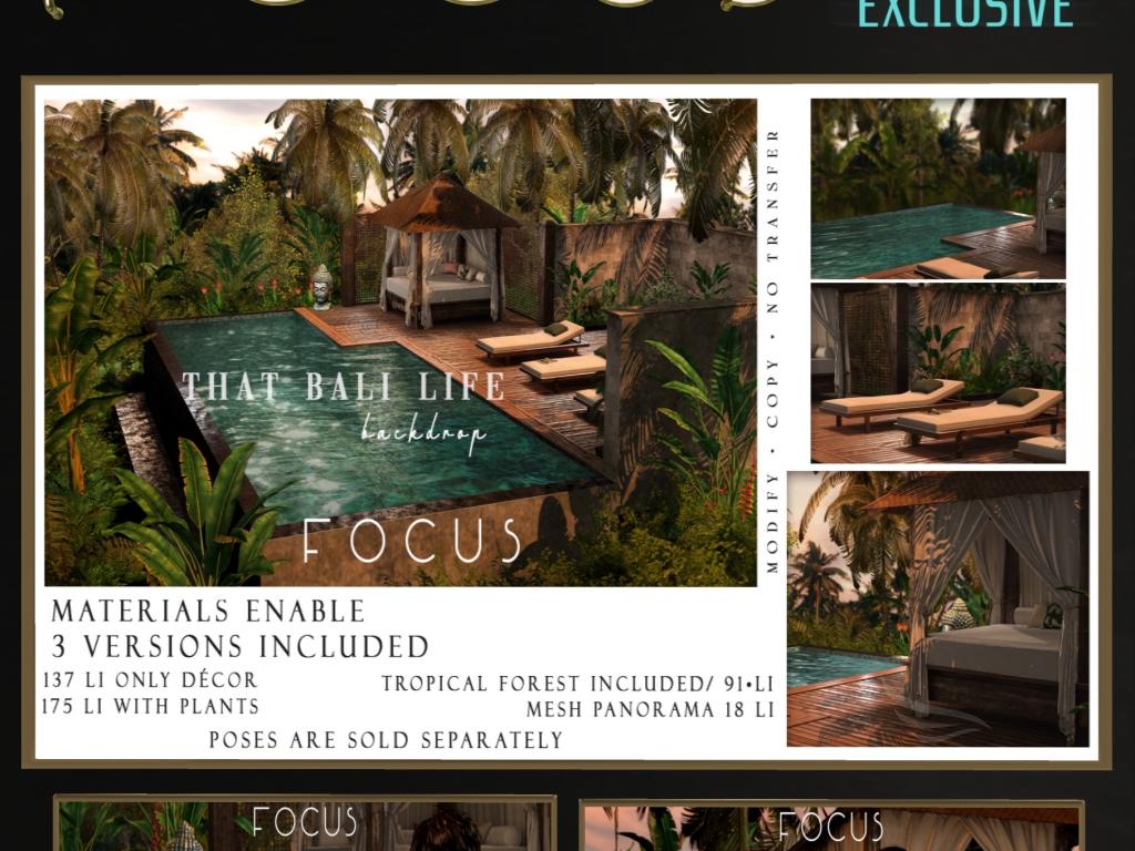 Focus – That Bali Life Backdrop