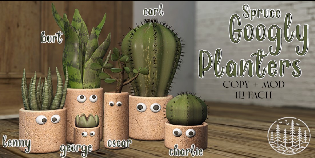 Spruce – Googly Planters
