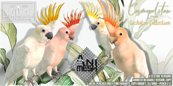 TLC – Cockatoo Collection