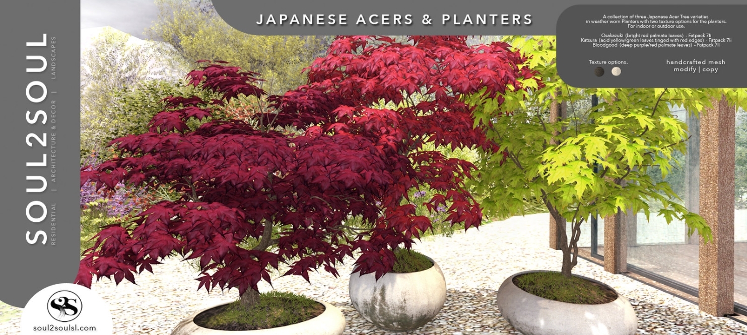 Soul2Soul – Japanese Acers and Planters